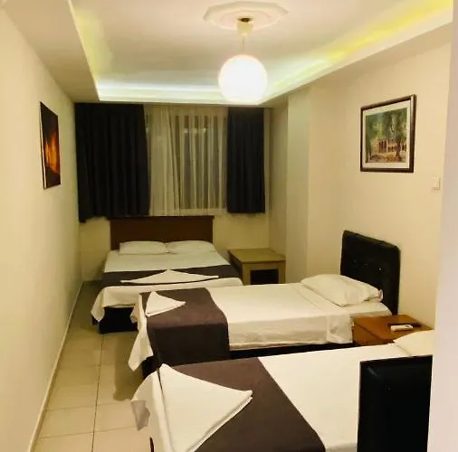 فندق فيرييل سنتروم 3*